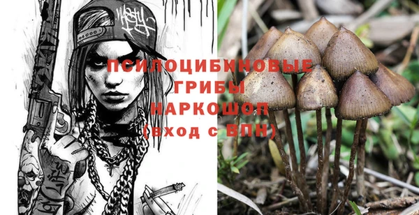 трава Верхний Тагил