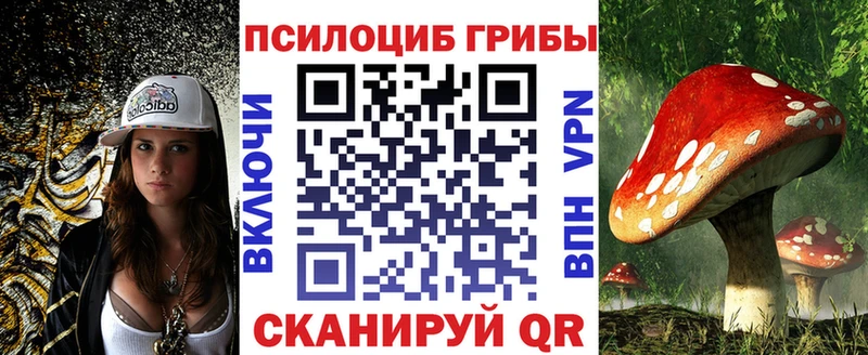 Псилоцибиновые грибы мухоморы  цена наркотик  Северобайкальск 
