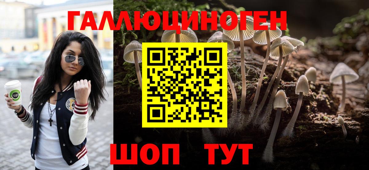 Сколько стоит  ГАШИШ  Конопля  Бошки Шишки  Северобайкальск  APVP СК кристаллы  Меф МЯУ МЯУ кристаллы  COCAIN  Вход с VPN  Экстази 