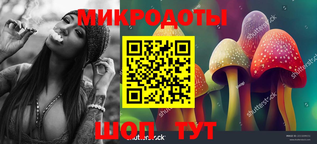 Галлюциногенные грибы мухоморы Северобайкальск